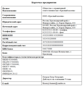 Карточка организации ип образец