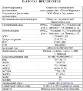 Карточка предприятия ооо образец 2022 год